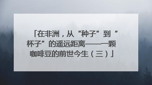 在非洲，从“种子”到“杯子”的遥远距离——一颗咖啡豆的前世今生（三）