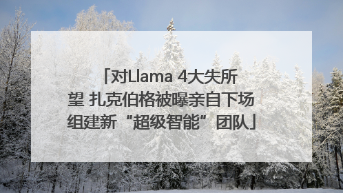 对Llama 4大失所望 扎克伯格被曝亲自下场组建新“超级智能”团队