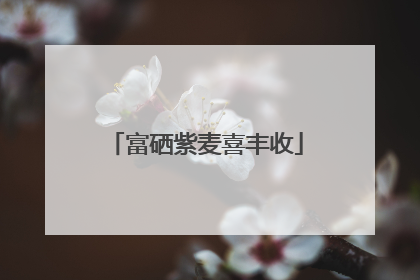 富硒紫麦喜丰收