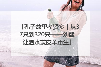 孔子故里孝贤多｜从37只到320只——刘健让泗水裘皮羊重生