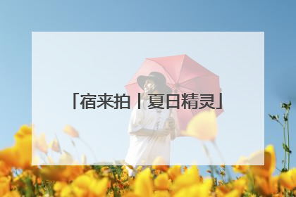 宿来拍丨夏日精灵