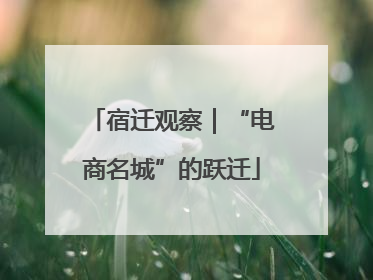 宿迁观察｜“电商名城”的跃迁