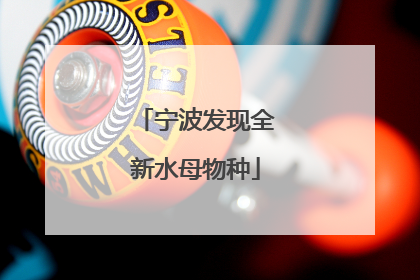 宁波发现全新水母物种