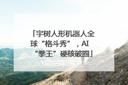 宇树人形机器人全球“格斗秀”，AI“拳王”硬核破圈