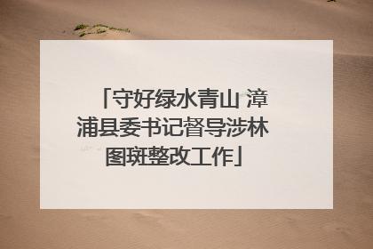 守好绿水青山 漳浦县委书记督导涉林图斑整改工作