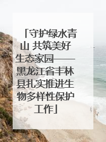 守护绿水青山 共筑美好生态家园——黑龙江省丰林县扎实推进生物多样性保护工作