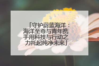 守护蔚蓝海洋：海洋至尊与青年携手用科技与行动之力托起纯净未来