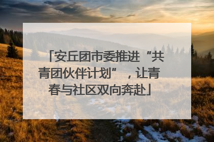 安丘团市委推进“共青团伙伴计划”，让青春与社区双向奔赴