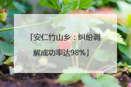 安仁竹山乡：纠纷调解成功率达98%