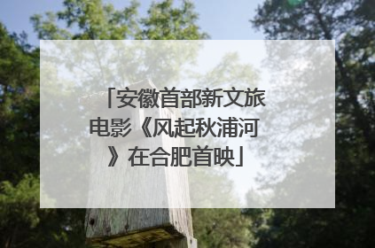 安徽首部新文旅电影《风起秋浦河》在合肥首映