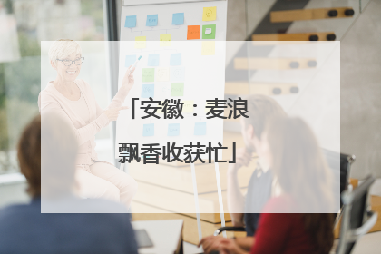 安徽：麦浪飘香收获忙