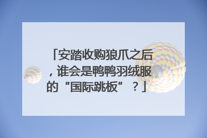 安踏收购狼爪之后，谁会是鸭鸭羽绒服的“国际跳板”？