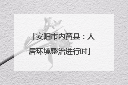 安阳市内黄县：人居环境整治进行时