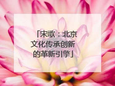 宋歌：北京文化传承创新的革新引擎
