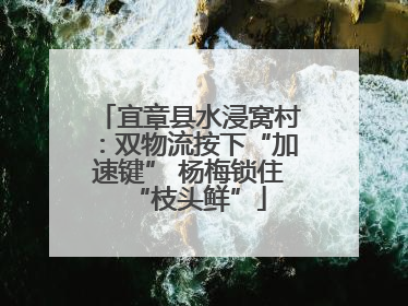 宜章县水浸窝村：双物流按下“加速键” 杨梅锁住“枝头鲜”