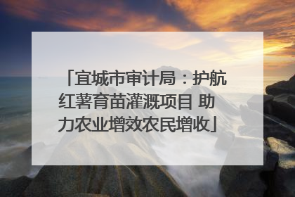宜城市审计局：护航红薯育苗灌溉项目 助力农业增效农民增收