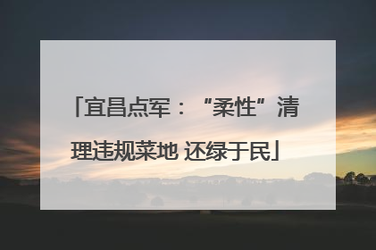 宜昌点军：“柔性”清理违规菜地 还绿于民