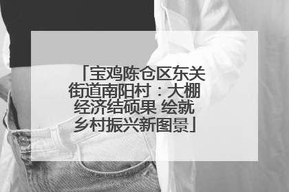宝鸡陈仓区东关街道南阳村：大棚经济结硕果 绘就乡村振兴新图景