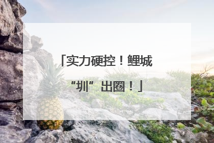 实力硬控！鲤城“圳”出圈！