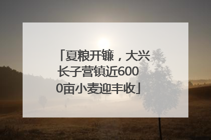 夏粮开镰，大兴长子营镇近6000亩小麦迎丰收