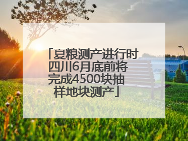 夏粮测产进行时 四川6月底前将完成4500块抽样地块测产