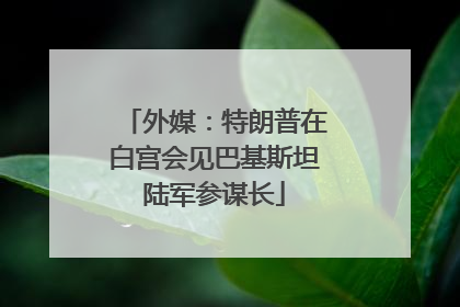 外媒：特朗普在白宫会见巴基斯坦陆军参谋长