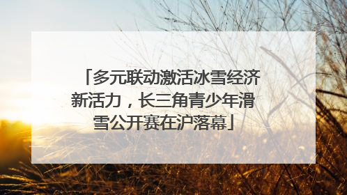 多元联动激活冰雪经济新活力，长三角青少年滑雪公开赛在沪落幕