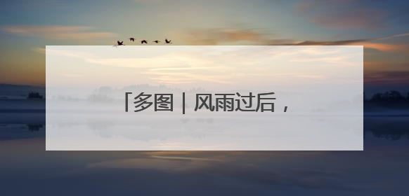 多图｜风雨过后，密云水库“鸟岛”上的幼鸟还好吗？