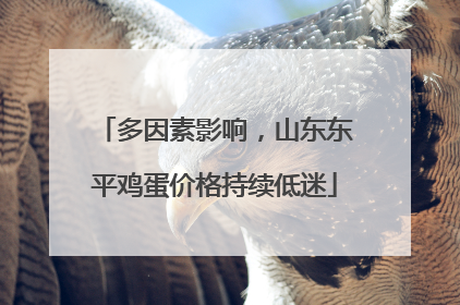 多因素影响，山东东平鸡蛋价格持续低迷