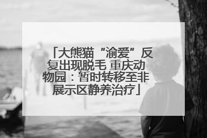大熊猫“渝爱”反复出现脱毛 重庆动物园：暂时转移至非展示区静养治疗