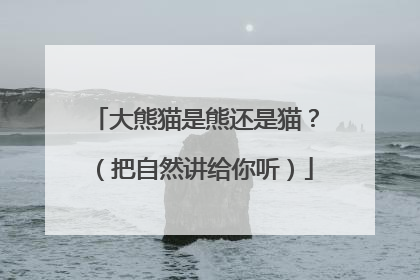 大熊猫是熊还是猫？（把自然讲给你听）