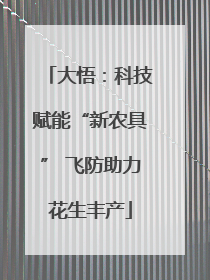 大悟：科技赋能“新农具” 飞防助力花生丰产
