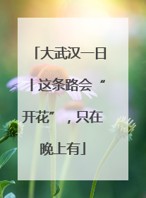 大武汉一日丨这条路会“开花”，只在晚上有