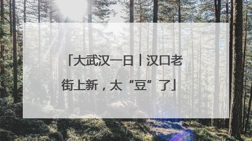 大武汉一日︱汉口老街上新，太“豆”了