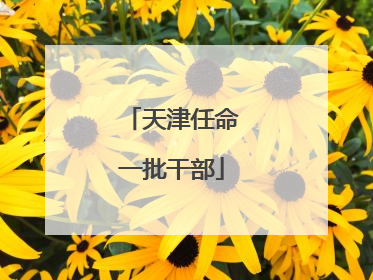 天津任命一批干部