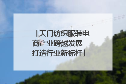 天门纺织服装电商产业跨越发展 打造行业新标杆