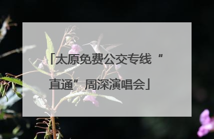太原免费公交专线“直通”周深演唱会