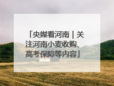 央媒看河南｜关注河南小麦收购、高考保障等内容