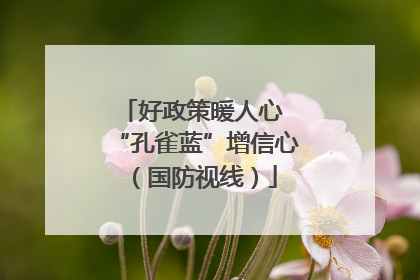 好政策暖人心 “孔雀蓝”增信心（国防视线）