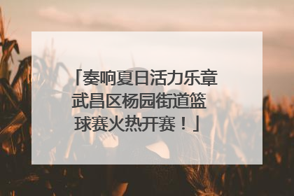 奏响夏日活力乐章 武昌区杨园街道篮球赛火热开赛！