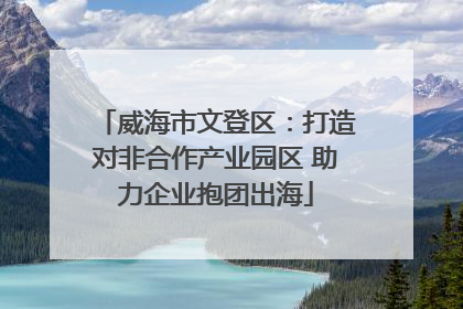 威海市文登区：打造对非合作产业园区 助力企业抱团出海