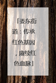 娄东街道：传承红色基因，赓续红色血脉