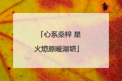 心系桑梓 星火燎原暖湖塘
