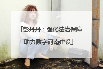 彭丹丹：强化法治保障 助力数字河南建设