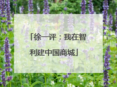 徐一评：我在智利建中国商城