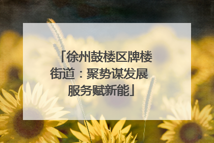 徐州鼓楼区牌楼街道：聚势谋发展 服务赋新能