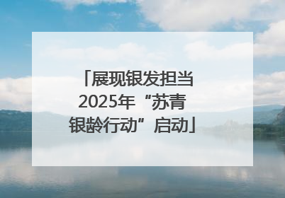展现银发担当 2025年“苏青银龄行动”启动