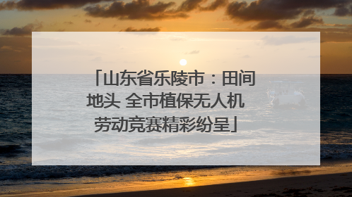 山东省乐陵市：田间地头 全市植保无人机劳动竞赛精彩纷呈