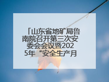 山东省地矿局鲁南院召开第三次安委会会议暨2025年“安全生产月”活动启动仪式
