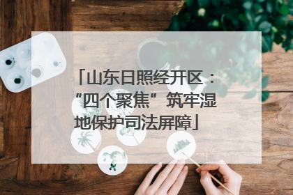 山东日照经开区：“四个聚焦”筑牢湿地保护司法屏障